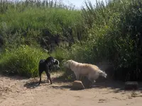 HPIM1653.webp