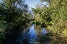 IMG_3895.jpg