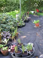 004_600x800.webp