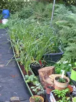 003_600x800.webp