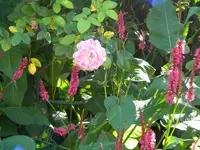 DSCN9597.webp