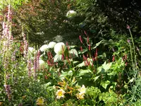 DSCN9615.webp