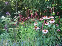 DSCN9773.webp