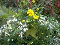 DSCN9800.webp