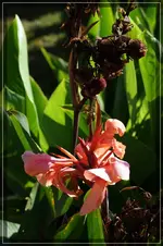 comp_DSC09802.webp