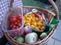 2015-08-30 17.51.38.webp
