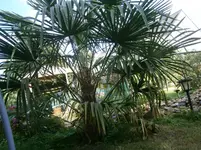 P8300233.webp