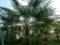 P8300234.webp