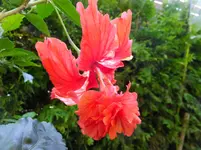 DSCF9316.webp