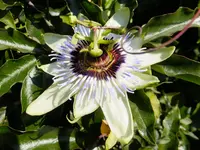 DSCF9257.webp
