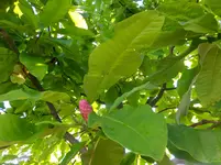 DSCF9300.webp