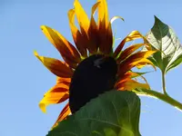DSCF9311.webp