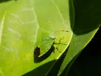 DSCF9250.webp