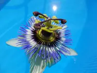 DSCF9255.webp
