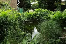_S45002015_0616(005).webp
