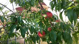20150831_175136.webp