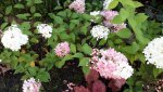 20150831_175100.jpg