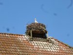 P1060931 Storchennest Rühstädt.jpg