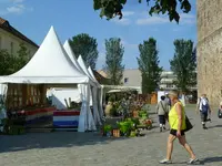 P1060949 Buga Havelberg.jpg