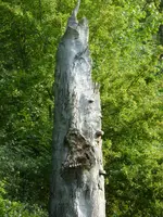 P1070091 Park Dessau.jpg