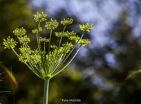 IMG_0024.jpg