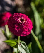 IMG_0030.jpg