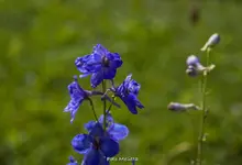 IMG_0031.webp
