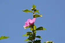 DSC_6882.webp