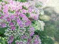 Bilda009.webp