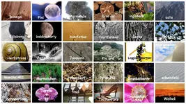 August 2015 Strukturen und Muster (2).webp