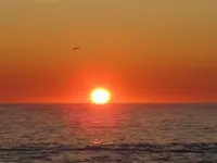 IMG_3659v.webp