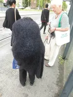 P1510223.webp