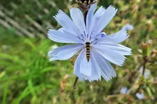 DSCF3008 (2).webp