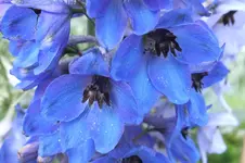 2012_0623Sommer0038.webp
