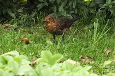 DSCF3027.webp