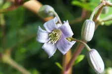 DSCF3056 (2).webp
