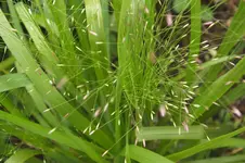DSCF3019.webp