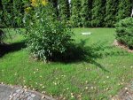 DSCN6531.jpg