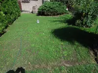 DSCN6532.webp