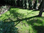 DSCN6533.jpg