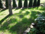 DSCN6534.jpg