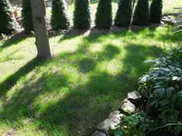 DSCN6534.webp