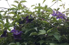_DSC9235.webp