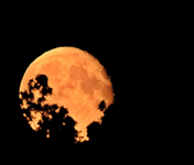 abnehmender Vollmond_31082015_700.webp