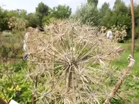 Bilda041.webp
