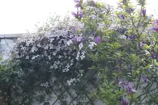 _DSC8200.webp