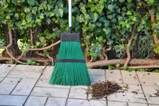 Grüner Besen_9862.webp