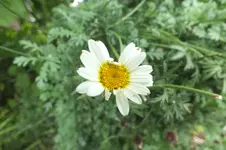 DSCF3075.webp