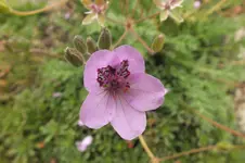 DSCF3044.webp