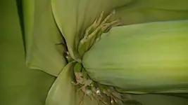 20150810_143507.webp
